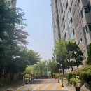 우리집롯데캐슬공인중개사사무소 이미지