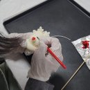 현암로89번길 | 광교 수원 근교 캔들공방 시타글로우 원데이클래스 후기