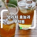 보리차 효능 이미지