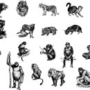 Wild Animals Engravings 이미지