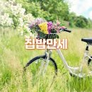 만세집밥 이미지