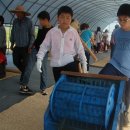 명지초등학교 이미지