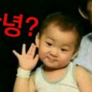 징 Daum카페