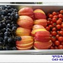 대학찰옥수수권역마을 이미지