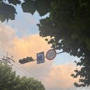 물만난고기초앤정 | [일상] 취업해서 뭐 그냥 어쩌구저쩌구 하는 일상 (9월-10월)