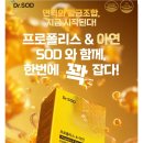 나와모랩