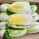 노랑농수산