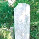 소로3-196 이미지