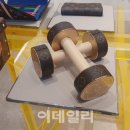 이색디자인 이데일리