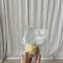 까까 주시개 이미지