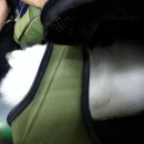 까꿍이 하우스 이미지