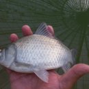 헤라낚시터 이미지