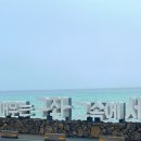 일품순두부세화점