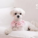 코코무역 이미지