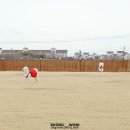 개들랜드 이미지