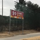 장수조이월드 후기/경상북도 놀이공원 추천/경상북도 놀곳/레트로맛집/경상북도 혼자여행