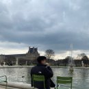 미술관 산책 | [5.신혼여행]튈르리 공원 산책 및 오랑주리 미술관 관람 후기 (+예약방법,루브르 근처 맛집)