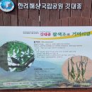 거제 학동.여차(몽돌).명사 해수욕장(231231) 이미지