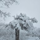 호수농장 이미지