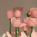 플레르케이커리