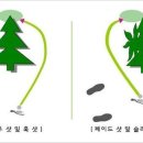페이드