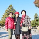 백룡체육관 이미지