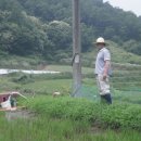 남궁농장 이미지