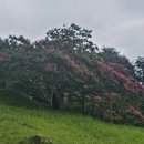 욕망의 열매 이미지