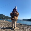 용초도펜션