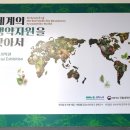 백목향 이미지