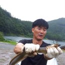 대물장어 이미지