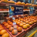 왕궁떡집 | [공주] 밤의 도시 공주 1박 2일 뚜벅이 여행 2일차 🌰 (공산성, 부자떡집, 베이커리밤마을, 공주알밤빵)