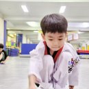 천무태권도 이미지