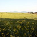 광화농장 이미지