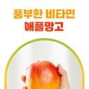 해남 애플망고 농장