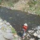 일송정민박 이미지