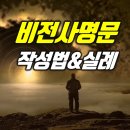 비전 비