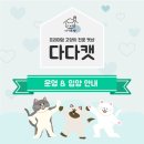 다다캣 이미지