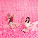 메이즈 뮤지움 이미지