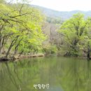 봉현다방