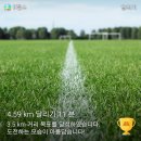 초월읍사무소 이미지