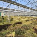 남진만농장 이미지