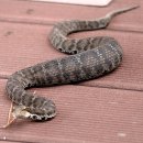 중문올레 이미지