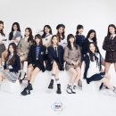 니지(Nizi) 네이버블로그