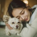 스무해 동물병원 이미지