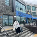 노도고등어회 | 제주 고등어회 맛집 :: 노도 고등어회 순살갈치조림 생선회 솔직 후기 🌊