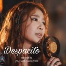 제아(JeA ) - Despacito(키타반주 박주원) 이미지