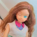 땡그리나 이미지