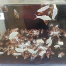 용달농장 이미지