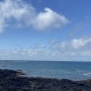 미담약국 이미지